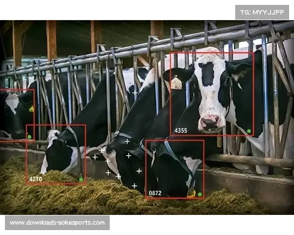 AI视觉算法自动识别精彩瞬间，辅助导播精准切换关键镜头画面